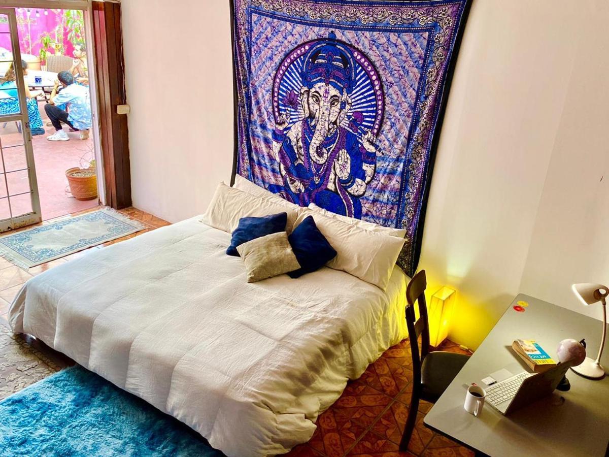 Free Spirit Hostel غوادالاجارا المظهر الخارجي الصورة